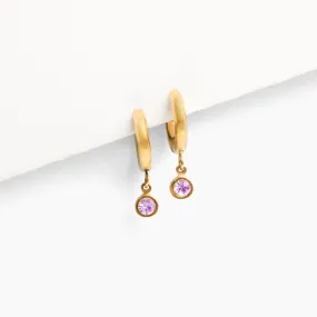 Birthstone Charm Hoop Earrings