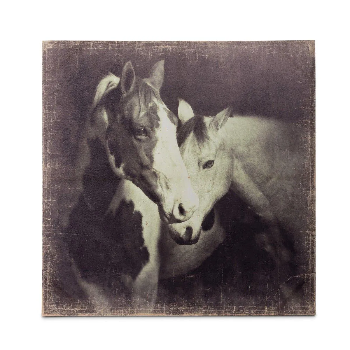 Canvas Horse Art Unframed