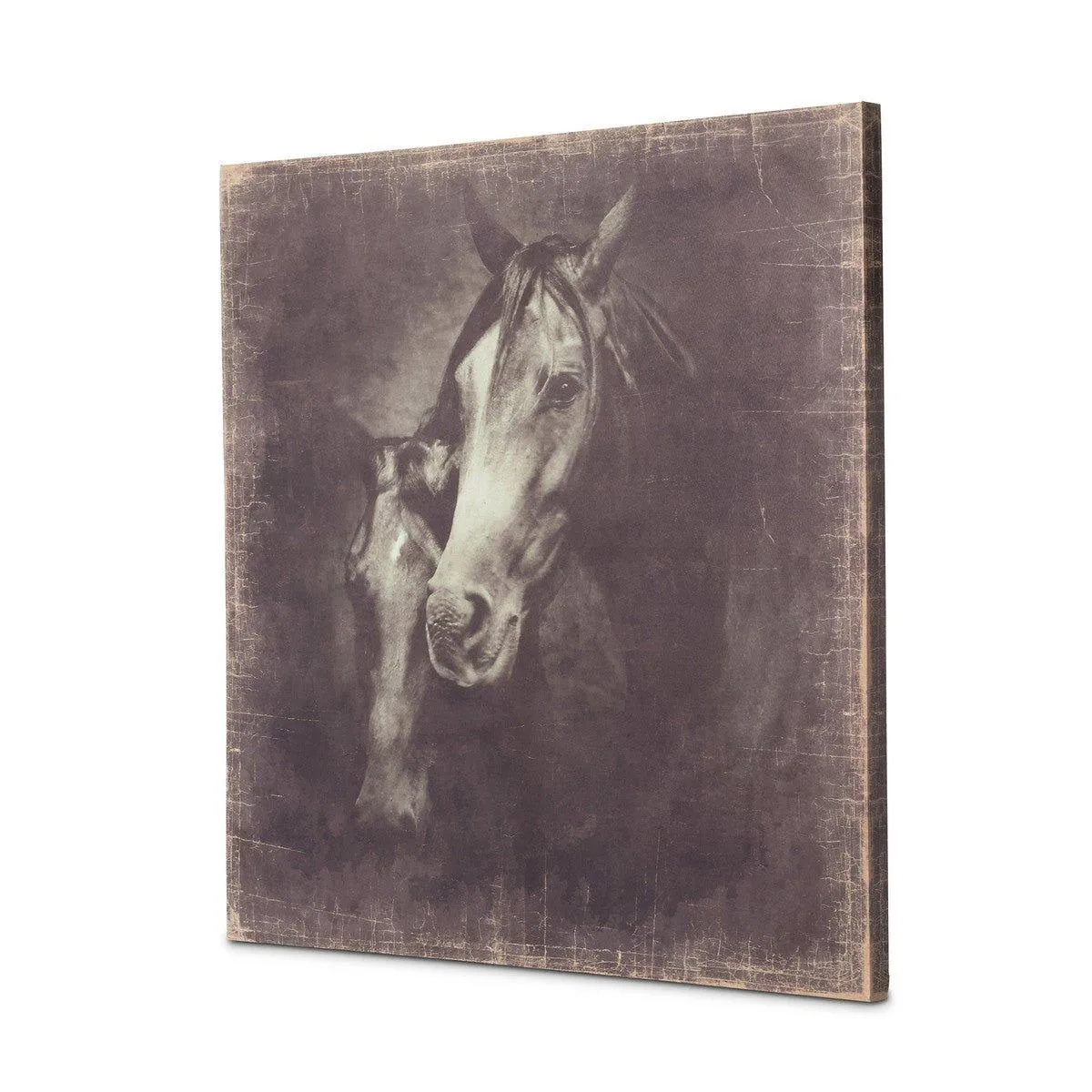 Canvas Horse Art Unframed