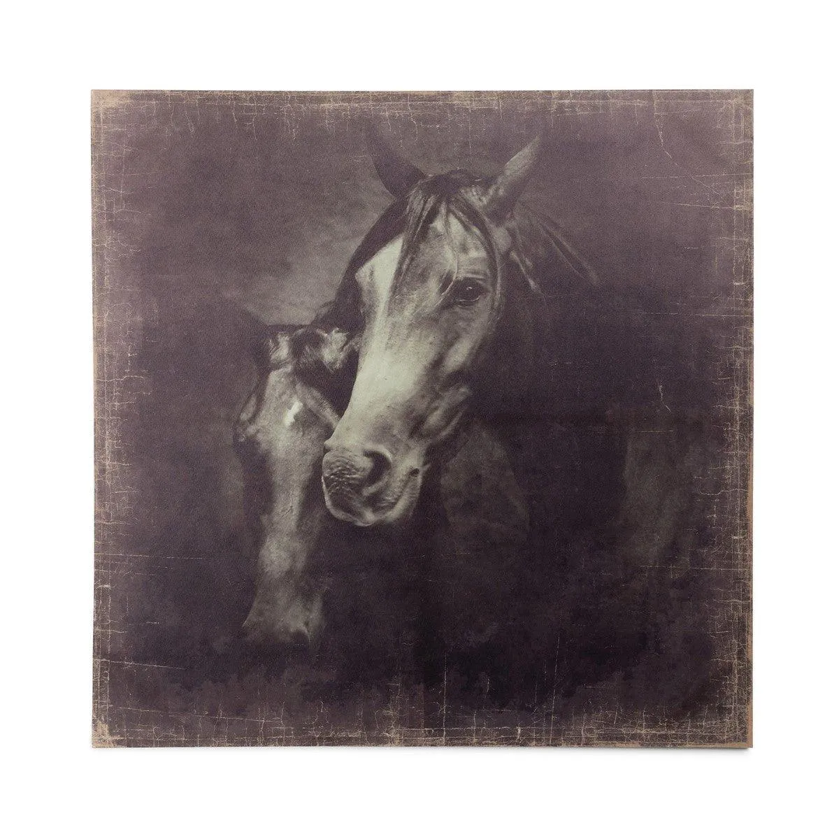 Canvas Horse Art Unframed